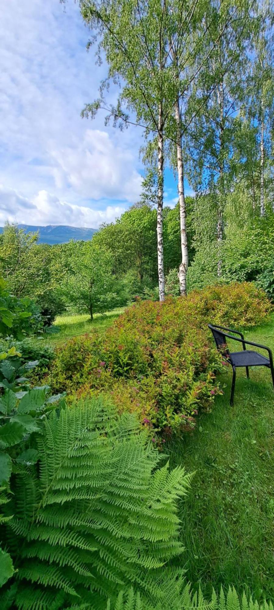 Vila Dom Tole Sklářská Poruba Exteriér fotografie