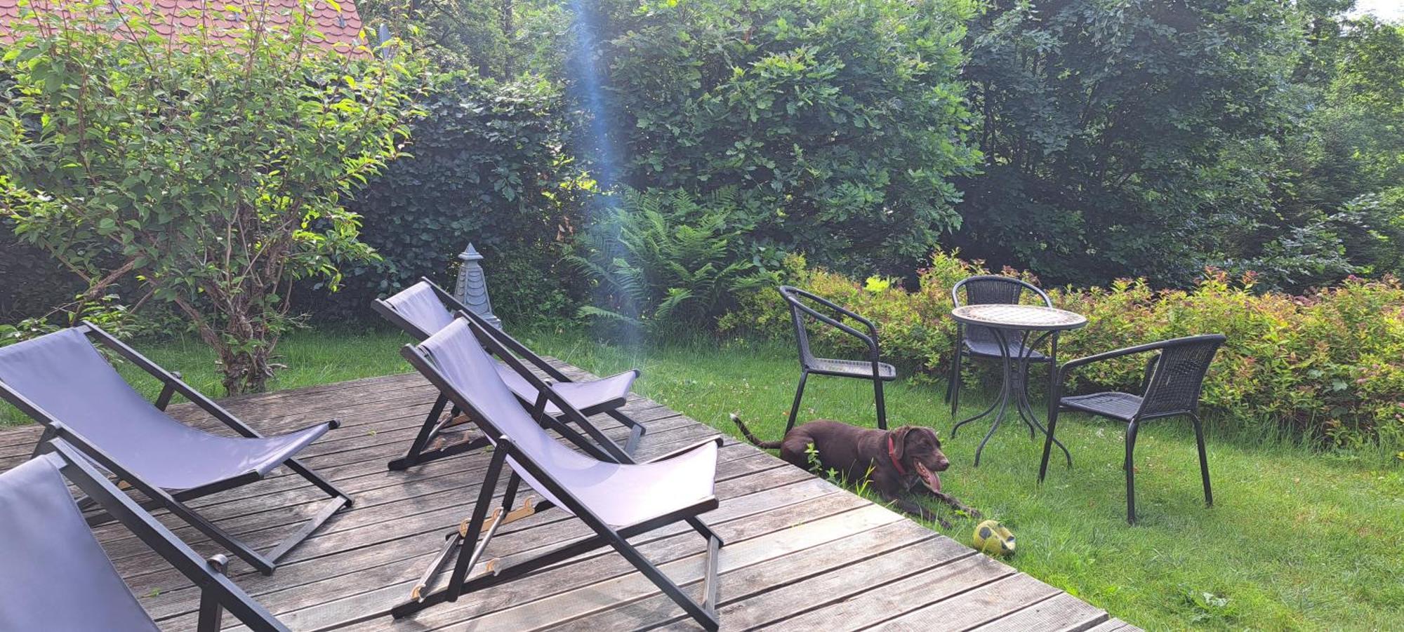 Vila Dom Tole Sklářská Poruba Exteriér fotografie