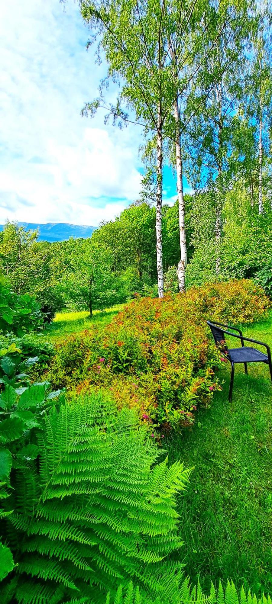 Vila Dom Tole Sklářská Poruba Exteriér fotografie