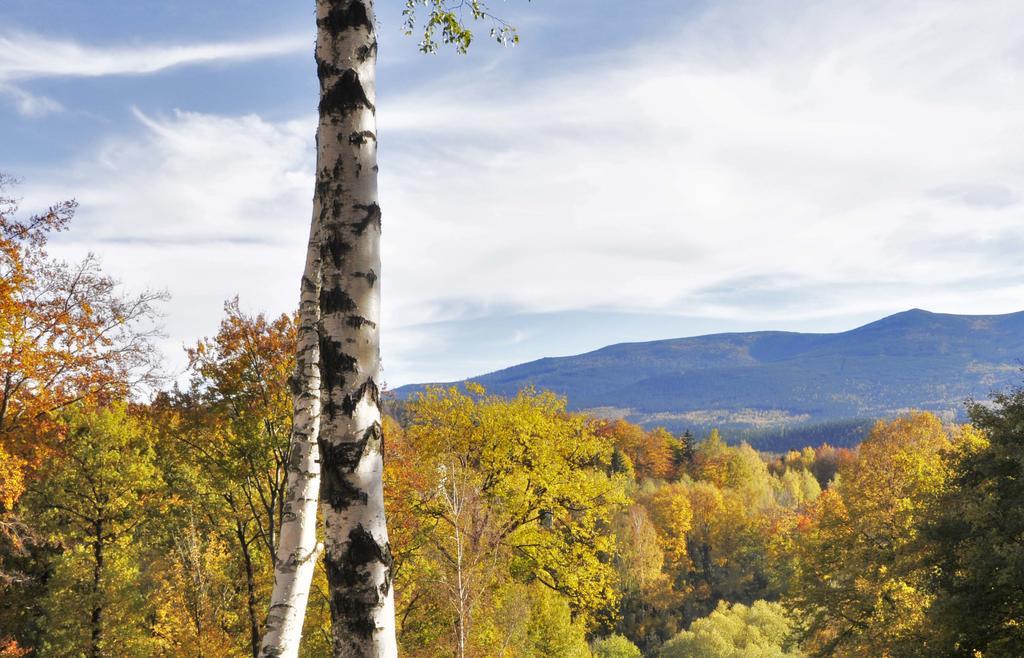 Vila Dom Tole Sklářská Poruba Exteriér fotografie