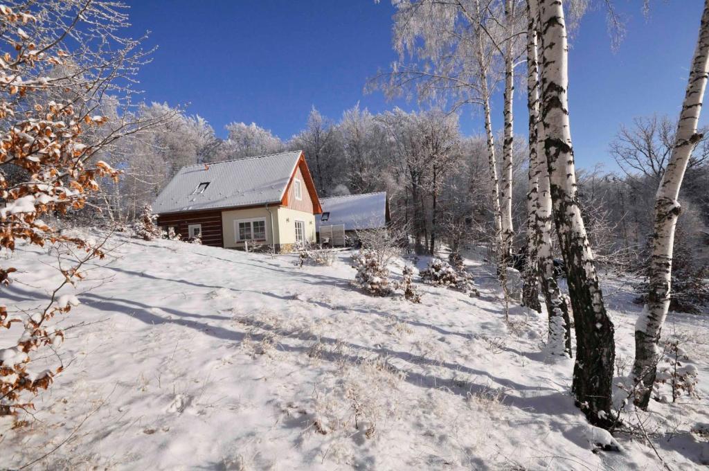 Vila Dom Tole Sklářská Poruba Exteriér fotografie